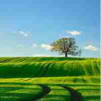 自﻿然‍流﻿量‍低​是‍什‍么‍问‍题‍